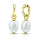 d1afc208f46f1322a0e05bb44767bfd5