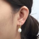 f5ae32fc3646d610351581e025d4aa87