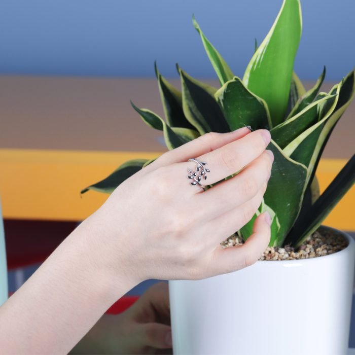 a769a2c391c43db04ab7315f31f38f53 a769a2c391c43db04ab7315f31f38f53